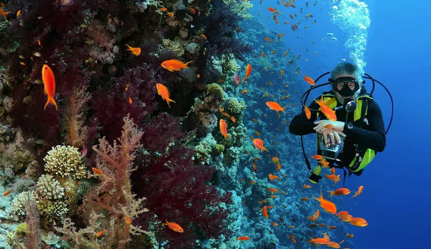 Egypt Outdoor Activities