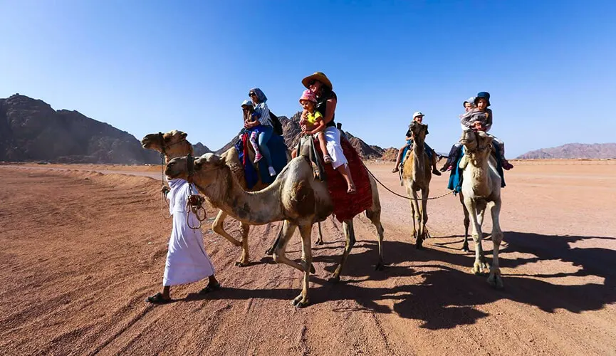 Safari in Egypt