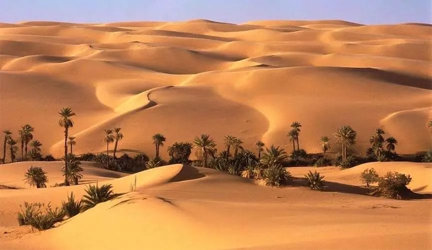 Farafra Oasis