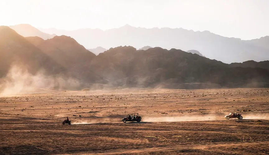 Safari in Egypt